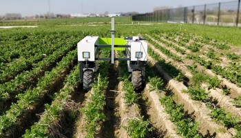 ILVO wordt satelliet voor versnelling robotica in agrofoodketen
