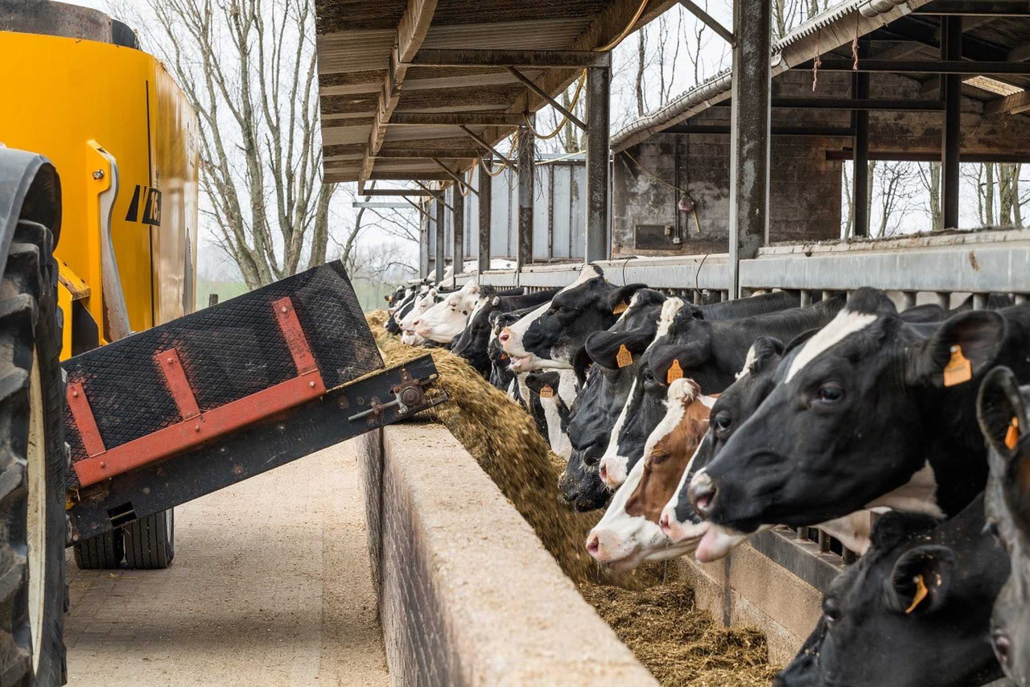 Noorwegens grootste zuivelleverancier bant Bovaer voor