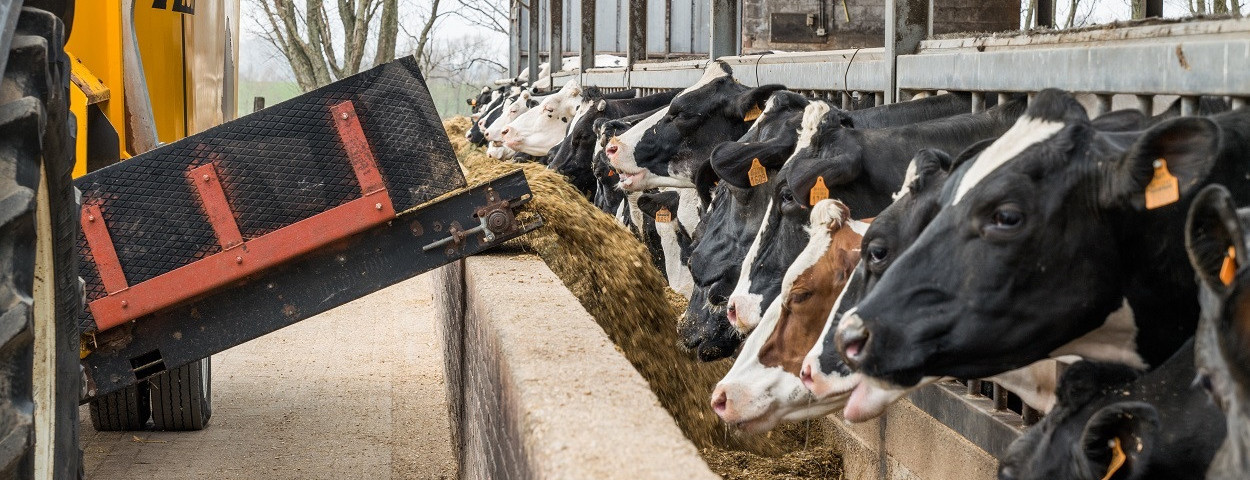 danonebovaermelkveemelkkoevoeder-1250