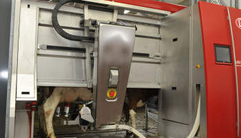 Ontevreden melkboeren dreigen met rechtszaak tegen MTC
