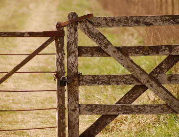 We moeten een nieuwe, creatieve deal maken met het platteland