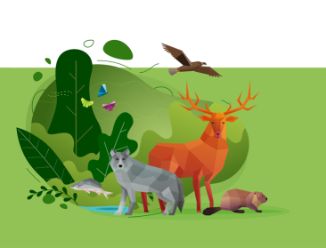 Europeaan erg bezorgd om verlies biodiversiteit