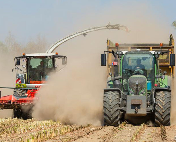 Omzet Vlaamse land- en tuinbouw daalt met bijna tien procent