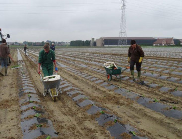 Zelfstandige landbouwers kloppen de meeste uren