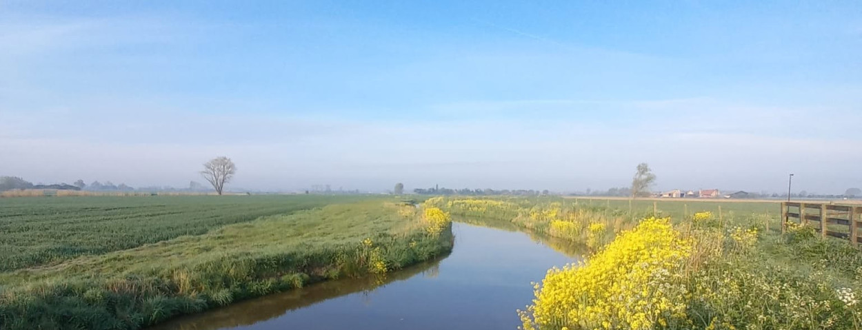westkustpolder 2_CopyrightWestkustpolder