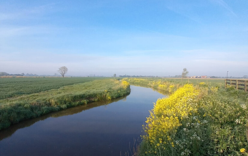 30 hectare landbouwgrond maakt plaats voor robuuster waterbeheer in Westhoek