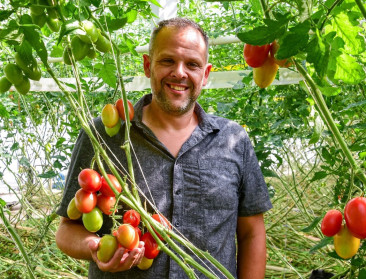 BioVLAM 2024 bekroont Vitaetom voor bioteelt nieuw tomatenras