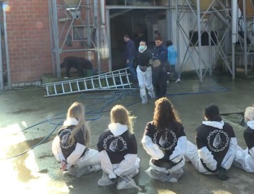 Foie gras-actie breekt Animal Resistance zuur op 