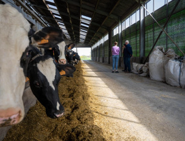 Nieuwe rekentool helpt melkveehouders complexe bedrijfseconomische keuzes maken