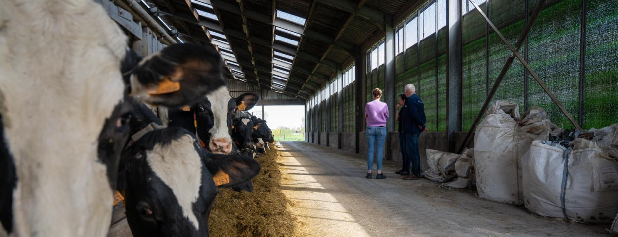 Vercauteren bezoekt het melkveebedrijf van Van Lembergen in Lommel