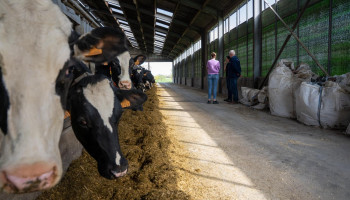 ILVO stelt nieuwe toekomstbestendige melkveebedrijfsconcepten voor