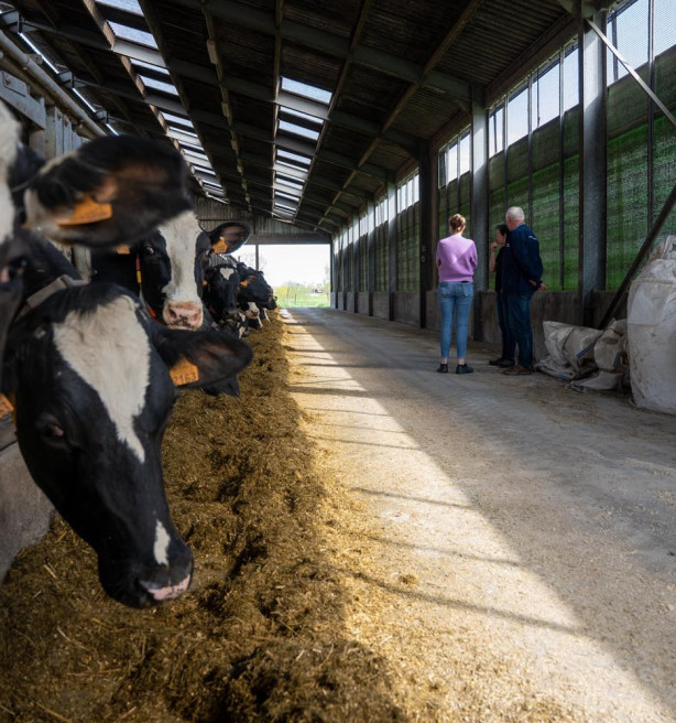 Stikstofbeleid in uitvoering: al 374 bedrijven lieten zich betalen voor vrijwillige stopzetting