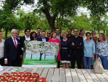 Plan van aanpak voor hoogstamboomgaarden in Haspengouw