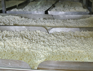 "Verplichte herkomstlabels voor zuivel hinderlijk"