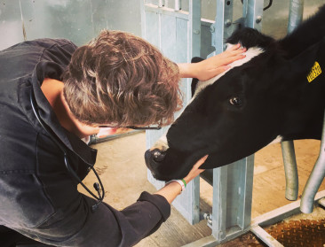 Open brief Vlaamse dierenartsen: “Dit is waarom de veehouders onze steun verdienen”