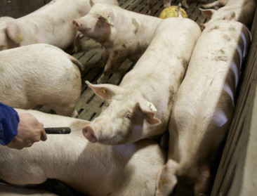 "Vlaamse boeren dreigen digitale trein te missen"