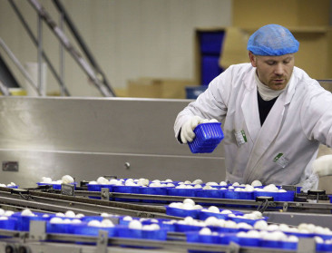 Deal over fusie Greenyard Foods, Univeg en Peatinvest