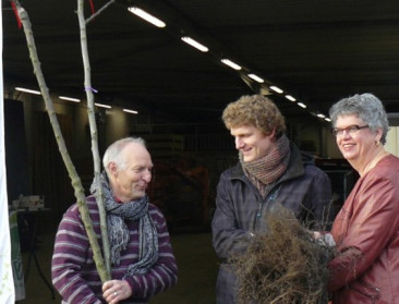 Groene Corridor plant 1,8 km hagen en 342 hoogstambomen