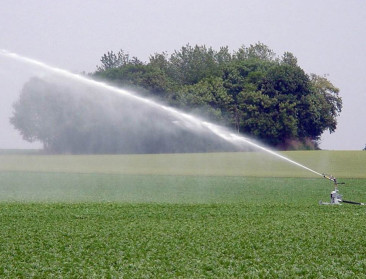 Gemeente Borgloon en BelOrta voorzien lokale landbouwers van water