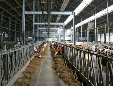 Verduurzaming te duur voor meeste melkveehouders