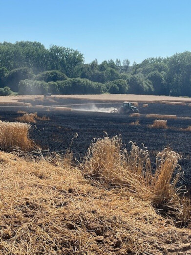 brand brakel 2