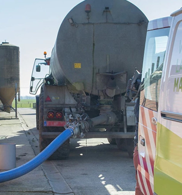 Criminelen sluizen afval in mest: 3.000 ton industrieel zout op Kempense landbouwgrond