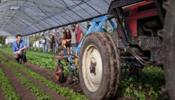 Vormingscentrum Landwijzer verliest grotendeels subsidies voor zij-instromers