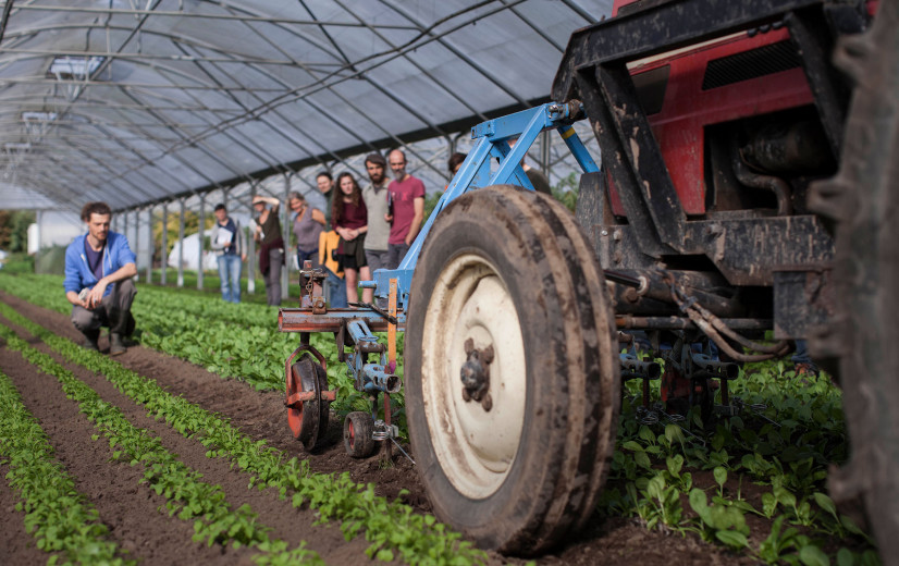 Vormingscentrum Landwijzer verliest grotendeels subsidies voor zij-instromers