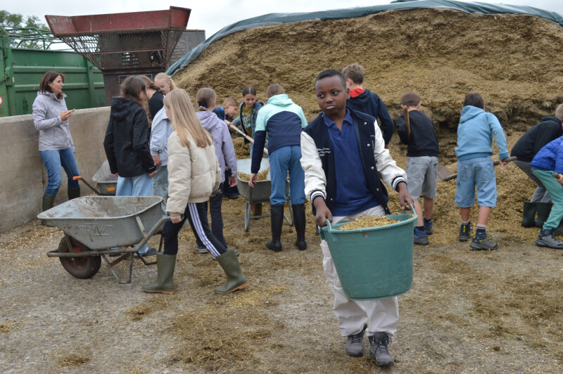 sterm op de boerderij 4