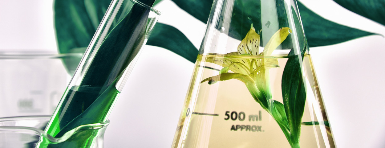 ReJuice afbeelding website