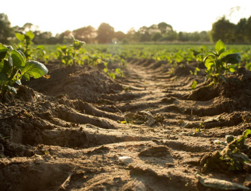 5 lessen uit 5 jaar onderzoek naar klimaatslim bodembeheer