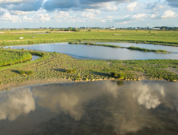 Probleem van verzilting neemt toe in West-Vlaamse polders