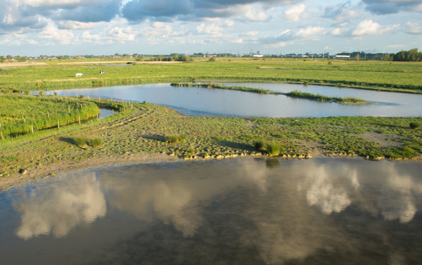 Probleem van verzilting neemt toe in West-Vlaamse polders