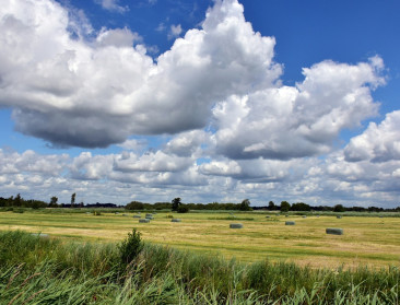 Het GLB in 2025: dit verandert er voor landbouwers