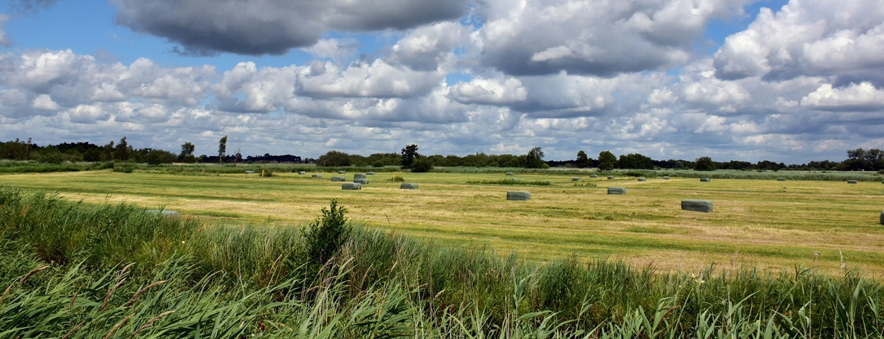 landschap