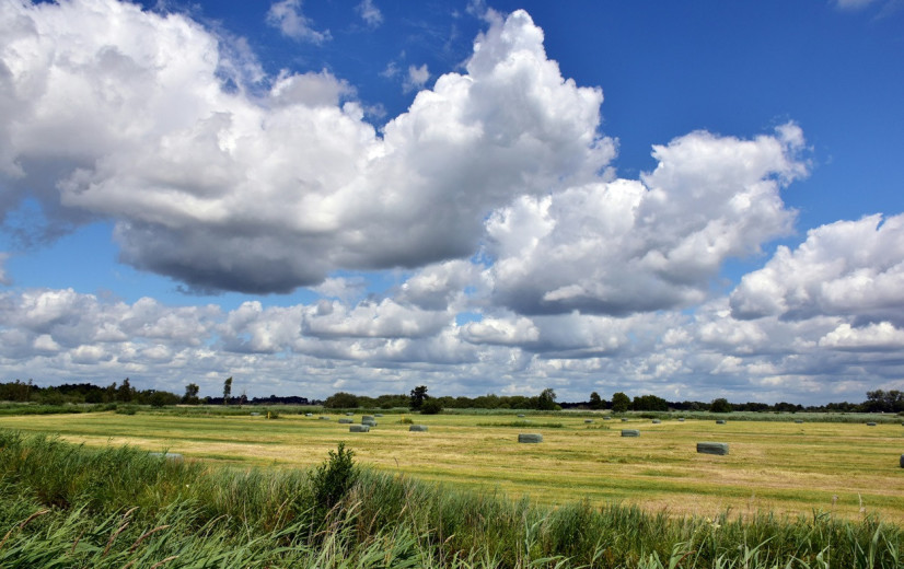 Het GLB in 2025: dit verandert er voor landbouwers