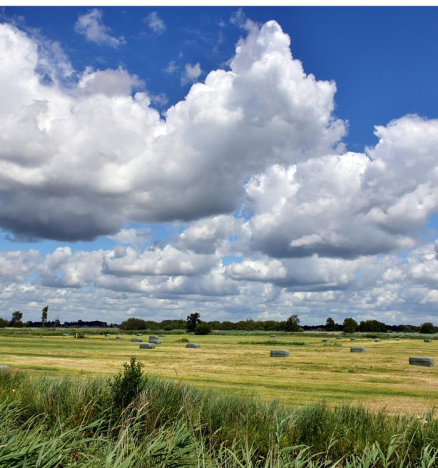 Vlaanderen heeft akkoord over nieuw ruimtelijk beleid: meer ontharding, verdichting en open ruimte