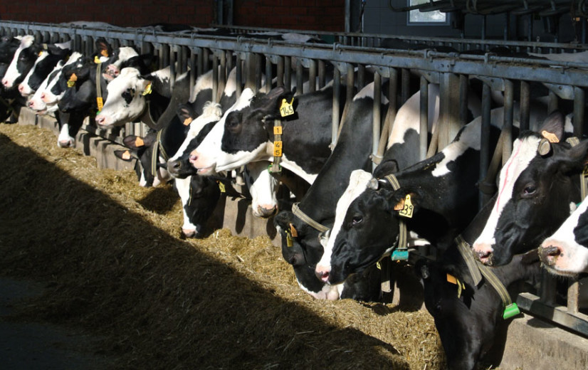 VLIF investeert miljoenen in landbouwvernieuwing