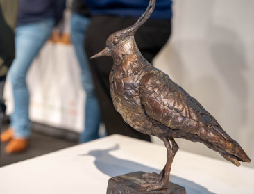 Vijf landbouwers genomineerd voor de Koperen Kievit-award