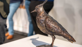 Vijf landbouwers genomineerd voor de Koperen Kievit-award