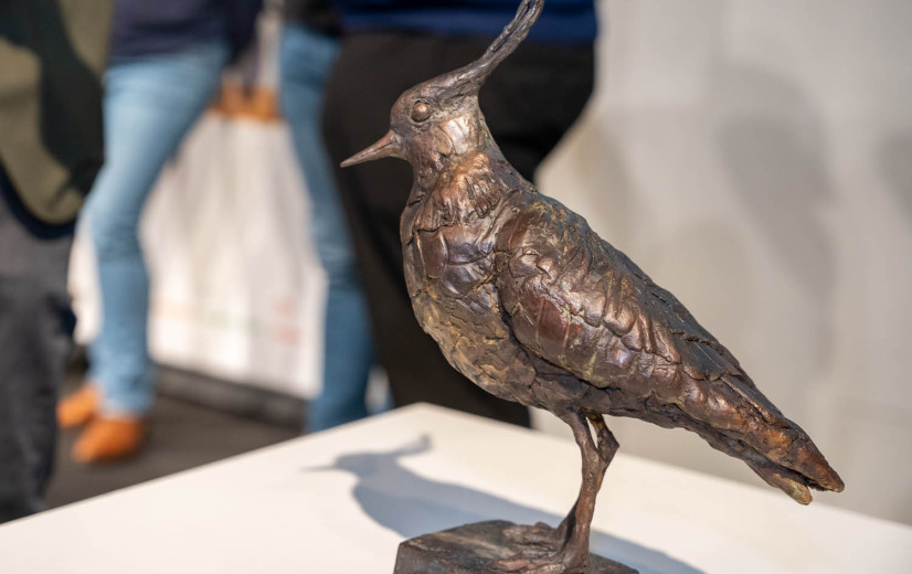 Vijf landbouwers genomineerd voor de Koperen Kievit-award