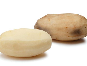 Nederlands onderzoek naar ggo-aardappel afgerond