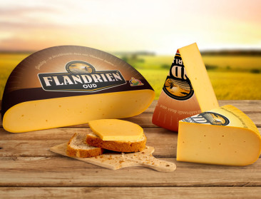 Melkveehouders en kaasmaker trots op hun Flandrien-kaas