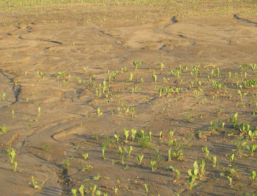 Landbouwers bundelen kennis tegen erosie