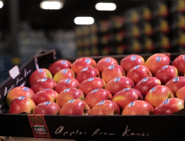 Kanzi levert opnieuw recordprijzen op voor telers