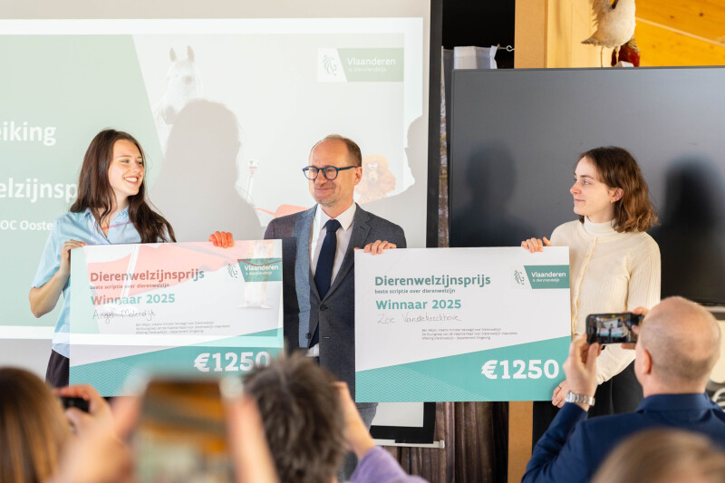 Dierenwelzijnsprijs-web