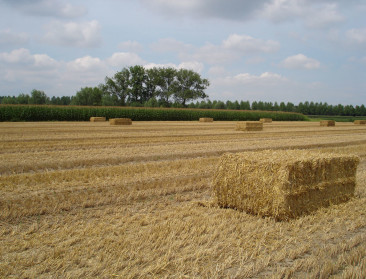 Prijs landbouwgrond in Vlaanderen zes keer boven EU-gemiddelde