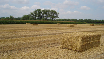 Prijs landbouwgrond in Vlaanderen zes keer boven EU-gemiddelde