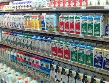 Milcobel voert Europese melkprijzen aan, maar prijsdaling ligt op de loer