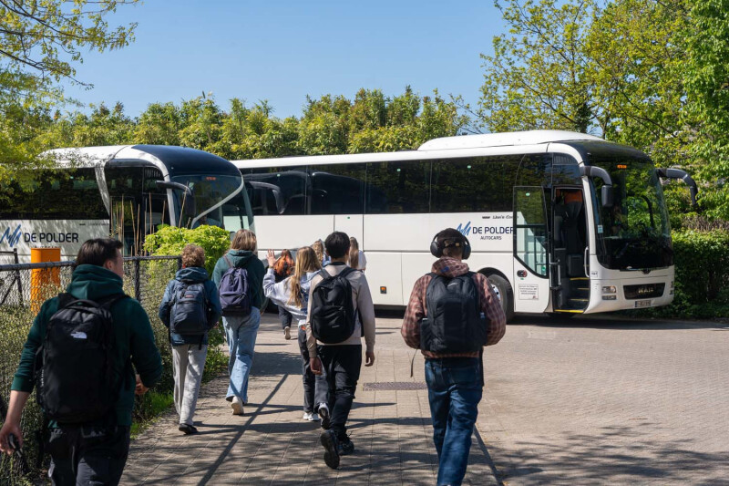 Pito Stabroek bussen